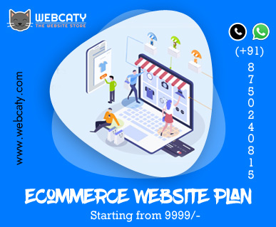 eCommerce Website Design Price in India